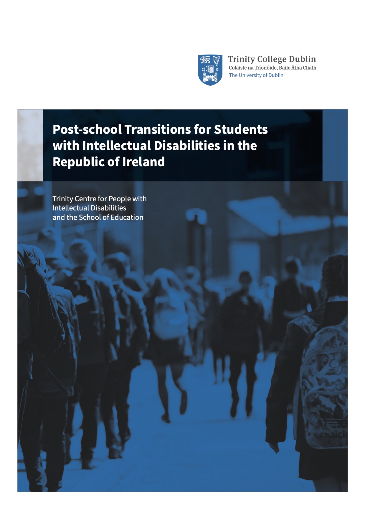 Post-school Transitions for Students with Intellectual Disabilities in the Republic of Ireland