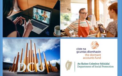 DCU Ability ‘Introduction to Work’ Online Course